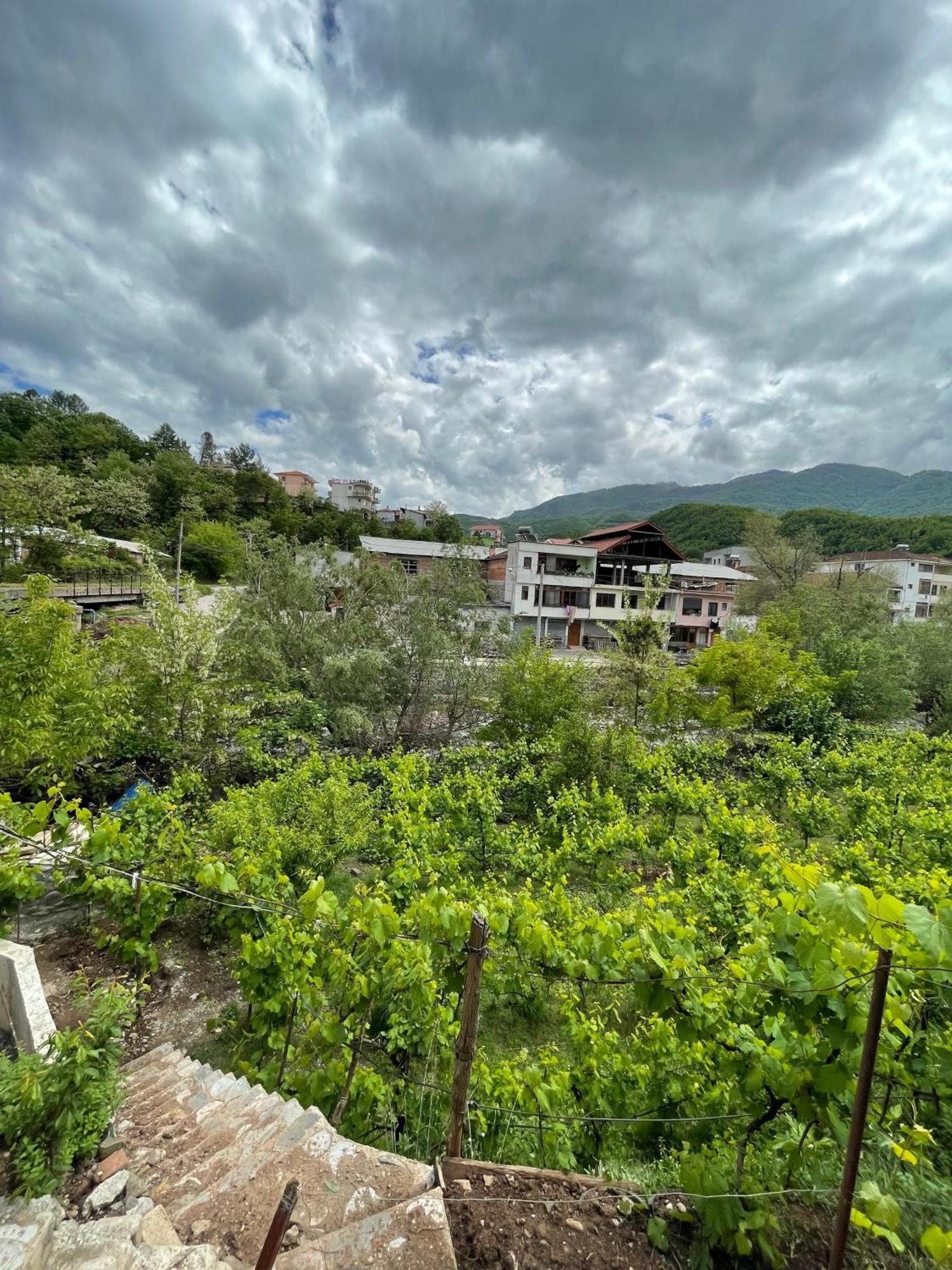 Home 12 Librazhet Dış mekan fotoğraf