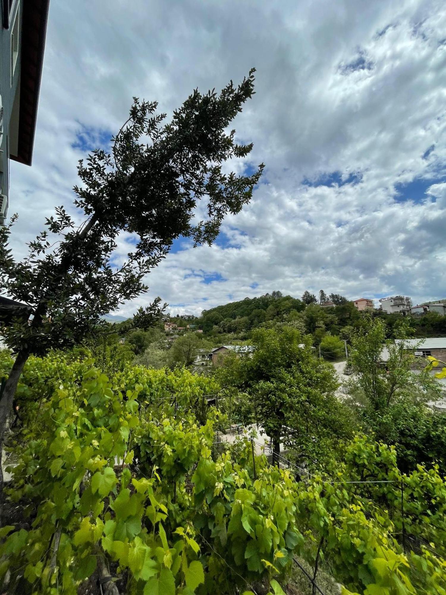 Home 12 Librazhet Dış mekan fotoğraf