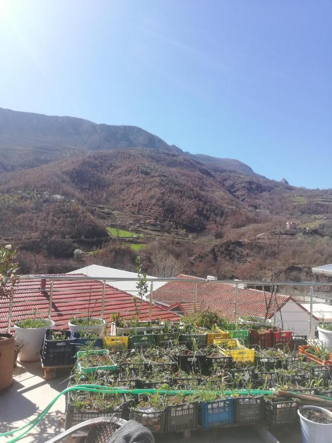 Home 12 Librazhet Dış mekan fotoğraf