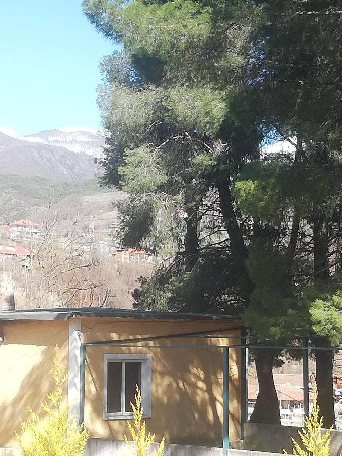 Home 12 Librazhet Dış mekan fotoğraf