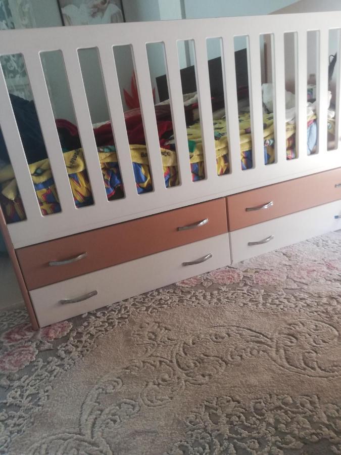 Home 12 Librazhet Dış mekan fotoğraf