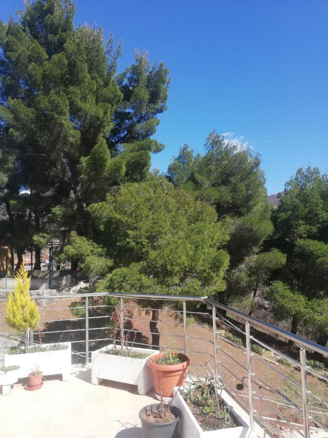 Home 12 Librazhet Dış mekan fotoğraf