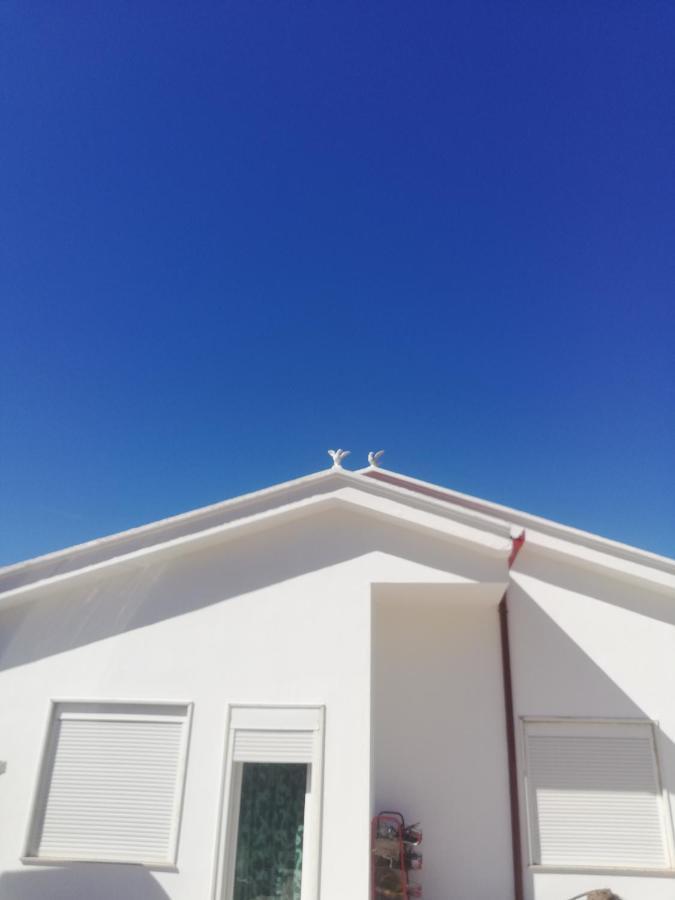 Home 12 Librazhet Dış mekan fotoğraf